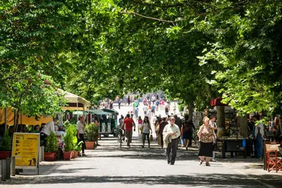 a group of people walking down a street with trees at M&D Luxury Suites in central Athens in Athens