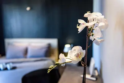 a vase of white flowers in a room with a bed at Acropolis Dream Apartment in Athens
