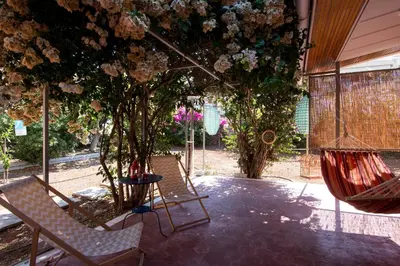 a patio with two chairs and a tree with flowers at THE BOUCAMVIGLIA BEACH HOUSE in Saronida