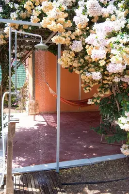 a large tree with pink flowers on it at THE BOUCAMVIGLIA BEACH HOUSE in Saronida
