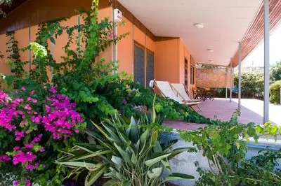 a building with pink flowers in front of it at THE BOUCAMVIGLIA BEACH HOUSE in Saronida