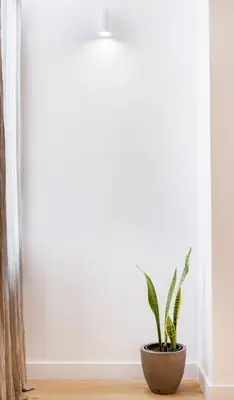 a plant sitting on a floor next to a window at Maryflower Premium Apartments Piraeus in Piraeus