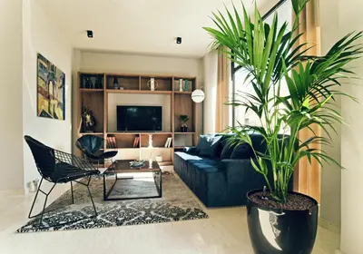a living room with a blue couch and a plant at Athens Iris Hotel in Athens