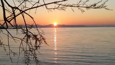 a sunset over a body of water with a tree at Nostalgia Seaview House in Anavissos