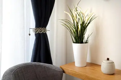 a plant sitting on a table next to a window at Acropolis Plus Penthouse in Athens