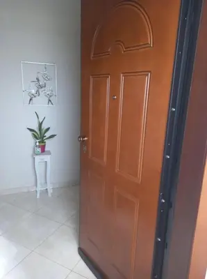 a wooden door in a room with a potted plant at Mary's House Apartment 10 min from Athens Airport in Markopoulo