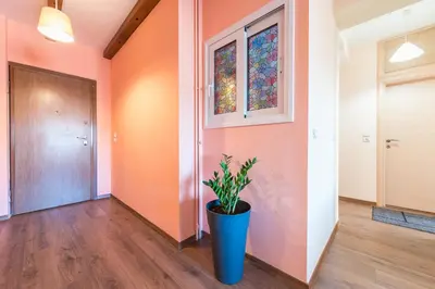 a hallway with a potted plant and a door at Incredible Acropolis View Flat! in Athens