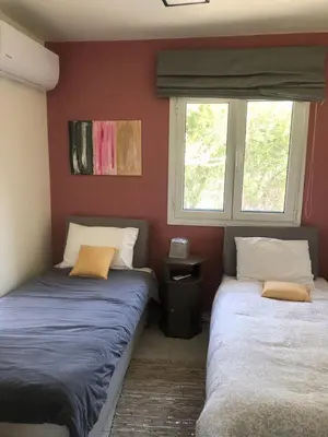 two beds in a room with two windows at Villa Sophia in Porto Rafti