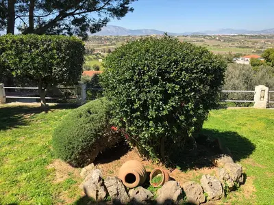 a bush in a yard with rocks and a bush at Villa Sophia in Porto Rafti