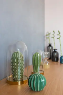 a green cactus in a glass case on a table at 100m2 Luxury Apartment in the Heart of Athens - Living Stone Emerald in Athens