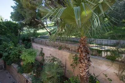 a palm tree in a garden next to a fence at Exceptional Villa in Voula near the sea in Athens