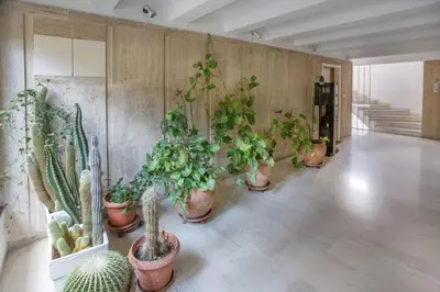 a room with a bunch of potted plants on the wall at Charming Apartment few steps from Acropolis by GHH in Athens