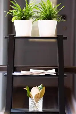 a black shelf with three potted plants on it at ATHENIAN YARD SUITES in Athens