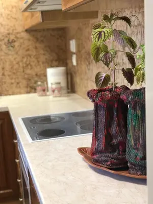 a plant in a vase on a counter in a kitchen at Your Holiday House in Porto Rafti