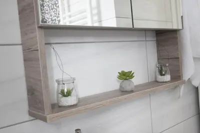 a shelf with two potted plants and a mirror at Breathtaking view penthouse at the heart of Thiseio, VP homes in Athens