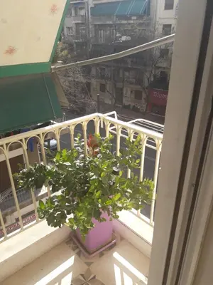 a plant in a pot sitting on a balcony at Αnna's Home 2 .Holidays in beautiful Athens in Athens
