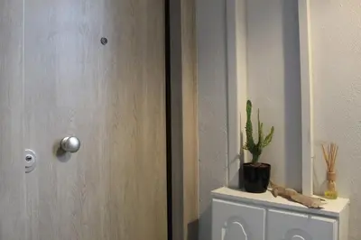 a door with a cactus and a plant on a cabinet at Luxury apartment in Glyfada(near metro station)C82 in Athens
