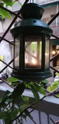 a light hanging from a ceiling with a plant at Cozy ACROPOLIS in Athens