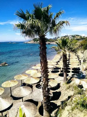 a beach with palm trees and umbrellas and the ocean at New seafront studio in Anavissos