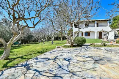 a house with trees and a stone driveway at Light-filled home with Garden near Beach in Anavissos