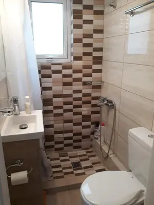 a bathroom with a toilet and a sink and a shower at Fully renovated small & cosy studio in Athens