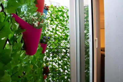 a potted plant is hanging on a window at Alke Homme II in Athens