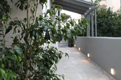a plant on the side of a building with lights at Luxe house in Glyfada with spa near metro station C8 in Athens