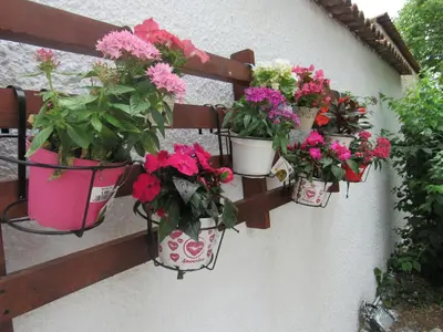 a group of potted flowers on a wall at Garden's House in Spáta