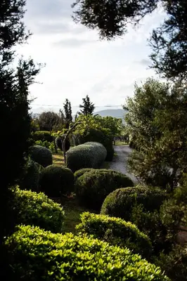 a garden with bushes and trees and a path at Villa Rosa with private pool, Athens Riviera in Kalívia Thorikoú