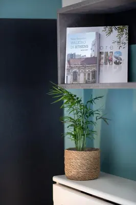 a plant sitting on top of a white cabinet at Paradise apartment in Koukaki in Athens