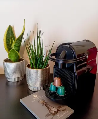 a table with two potted plants and a toaster at Kalliopi's apartment in Athens