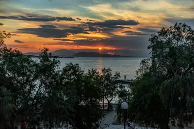 a sunset over the ocean with a beach with trees at Amazing Seafront Apartment Athens Riviera in Athens