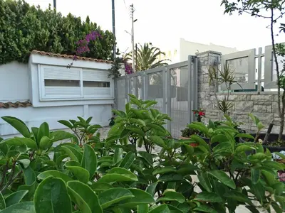 a garden with a fence and a gate with a plant at Emma's Airport Studio in Spáta