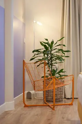 a plant in a basket sitting in a room at Athenian Sensations Apartments and Suites in the Heart of Athens in Athens