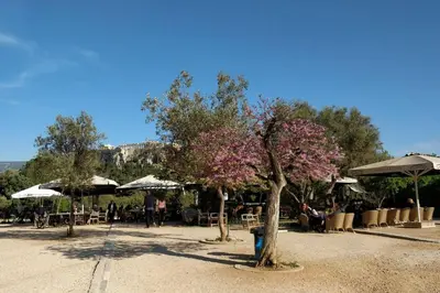 a park with tables and umbrellas and a tree with pink flowers at Athens Blossom House under Acropolis with private entrance in Athens