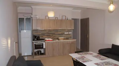 a living room with a kitchen with a stove at The Victoria Square Apartments in Athens