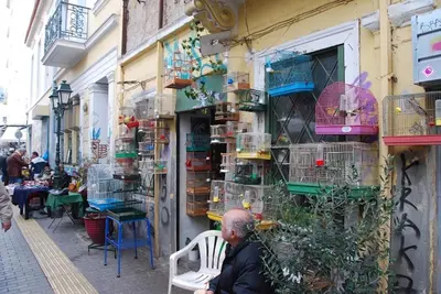 a man sitting in a chair in front of a building at Enticing, Cosy, Rooftop Studio Athens Centre! EP9T in Athens
