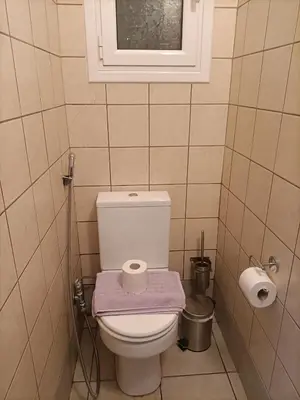 a bathroom with a toilet with a purple towel on it at The Urban Escape in Athens