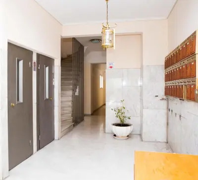 a hallway with a potted plant in a building at Acropolis,Historic center Apartment-update in Athens