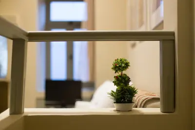 a potted plant sitting on a window sill at Plaka360 Apartments in Athens