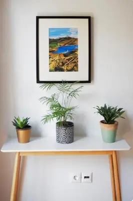 two potted plants on a white shelf with a picture at Tiny Studio Suite in Athens