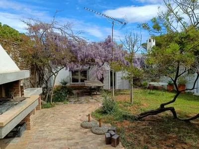 a garden with a tree with purple flowers at Summer Villa in Porto Rafti in Porto Rafti