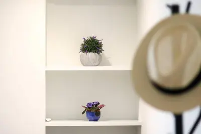 a shelf with a potted plant and a hat on it at Classy and stylish apartment next to Hilton in Athens