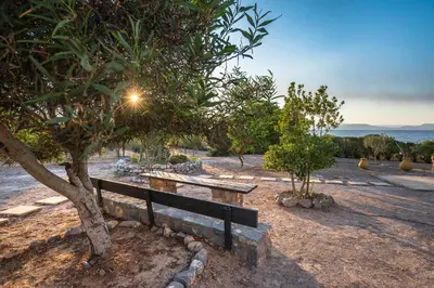 a park bench sitting next to a tree at MARFAIA - Villa by the sea in Áyioi