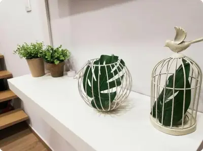 a white counter with two bird cages and plants at Heart of Athens Studio 25sqm in Athens