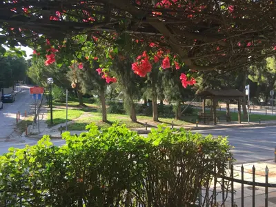 a park with pink flowers on trees and a street at A1 Elegant Vouliagmeni apt in a Unique Spot in Athens
