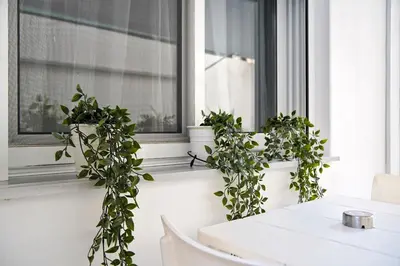 a white table with potted plants on a window sill at Your Attiki Home VIPGreece in Athens