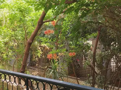 a fence in front of a garden with flowers at A2 Cute Vouliagmeni Apt in a Unique Spot in Athens