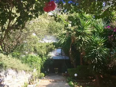 a garden with trees and plants and a building at A2 Cute Vouliagmeni Apt in a Unique Spot in Athens