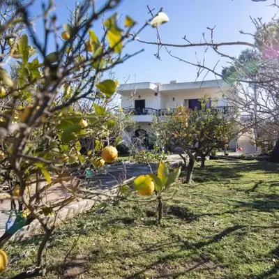 Family and friendly home.